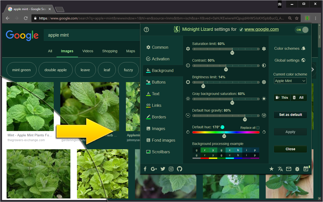 Midnight Lizard chrome谷歌浏览器插件_扩展第3张截图