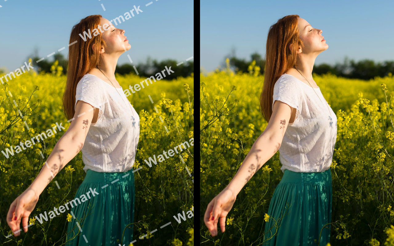 照片水印去除器 chrome谷歌浏览器插件_扩展第1张截图