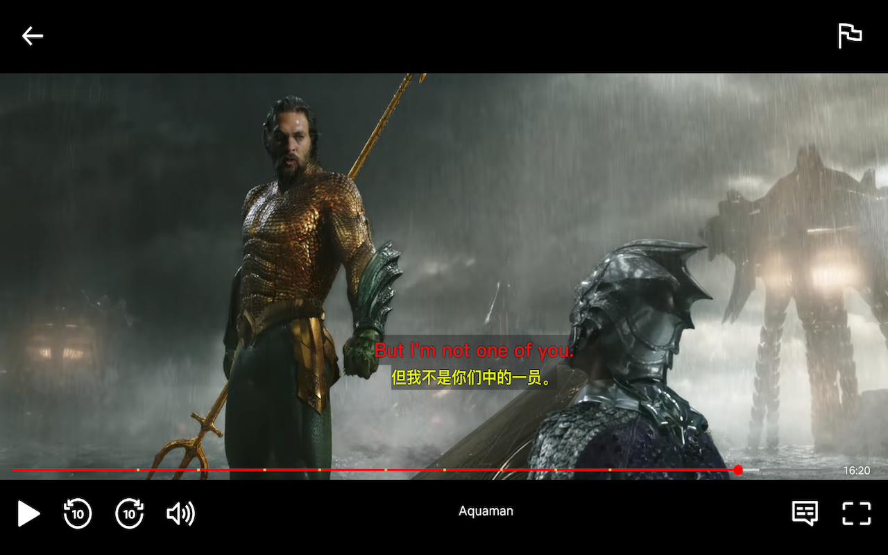 Netflix 双语字幕 - 字幕翻译器 chrome谷歌浏览器插件_扩展第1张截图