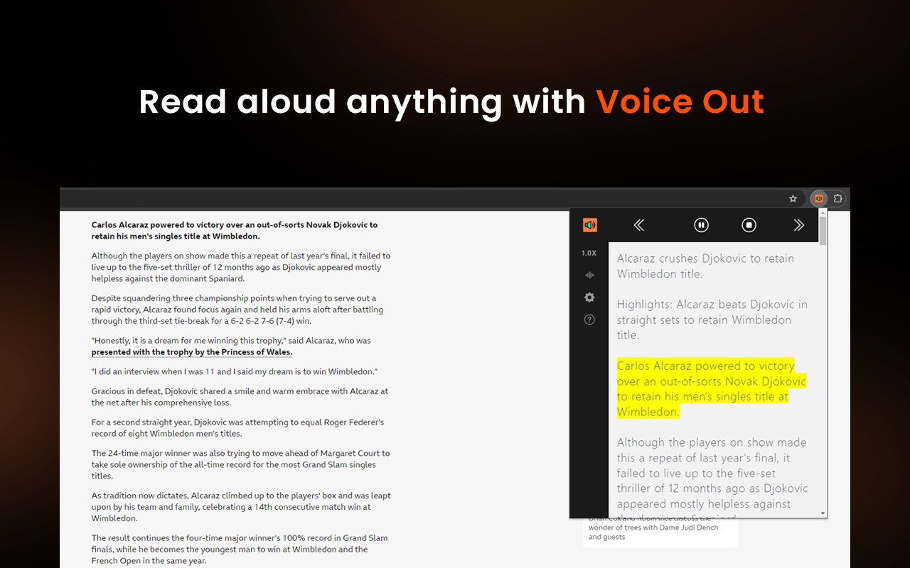Voice Out: 文字转语音 chrome谷歌浏览器插件_扩展第2张截图