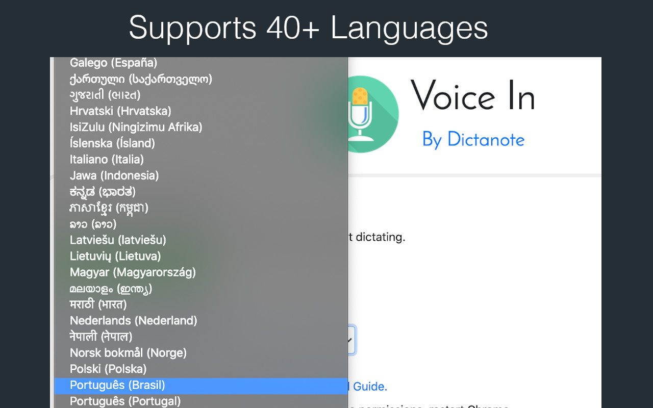 Voice In - 语音转文字 chrome谷歌浏览器插件_扩展第2张截图