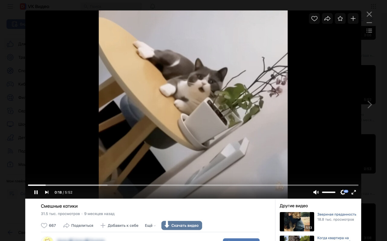 VKSaver - скачать музыку ВК chrome谷歌浏览器插件_扩展第1张截图