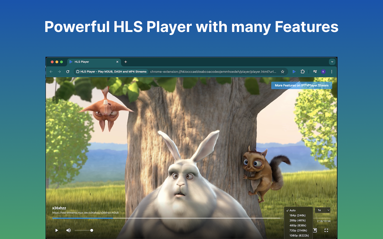 IPTV Player - Player for HLS, M3U8, MP4, DASH and TS Streams chrome谷歌浏览器插件_扩展第1张截图