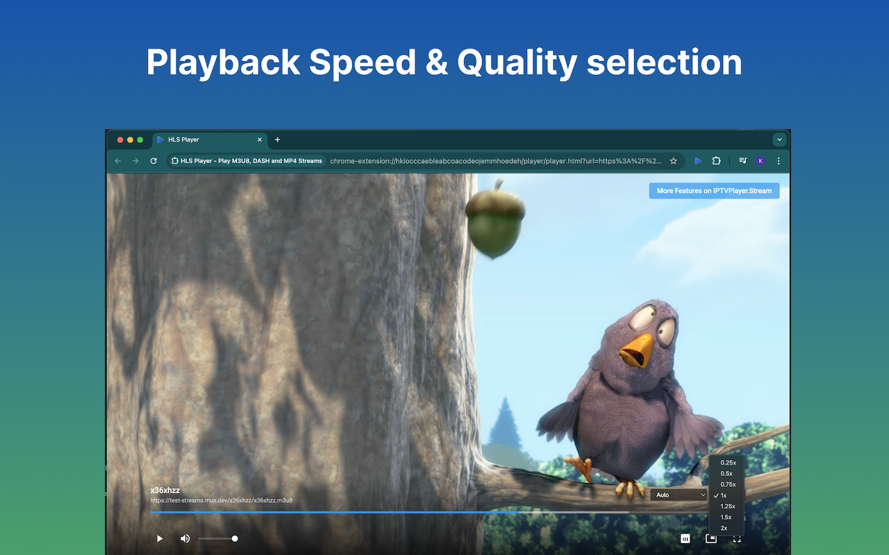 IPTV Player - Player for HLS, M3U8, MP4, DASH and TS Streams chrome谷歌浏览器插件_扩展第2张截图