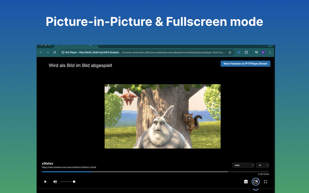 IPTV Player - Player for HLS, M3U8, MP4, DASH and TS Streams chrome谷歌浏览器插件_扩展第3张截图