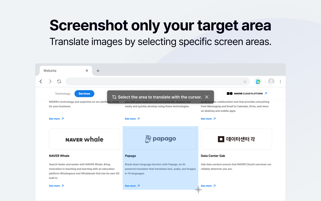 Papago Plus chrome谷歌浏览器插件_扩展第3张截图