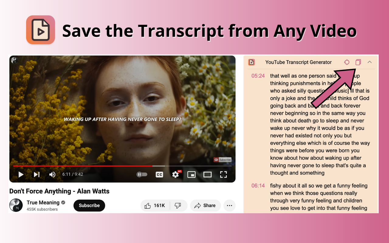 YouTube 脚本生成器 - YouTube Transcript Generator chrome谷歌浏览器插件_扩展第1张截图