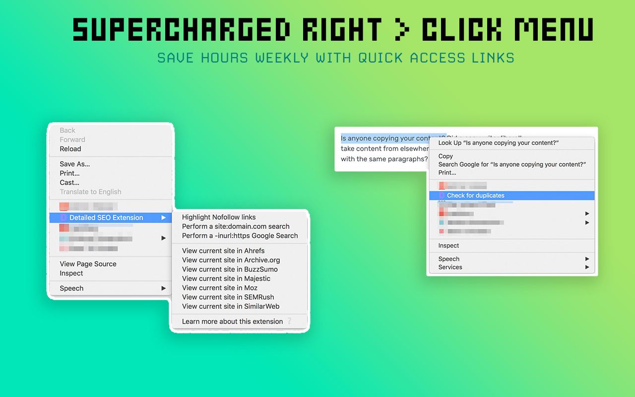 Detailed SEO Extension chrome谷歌浏览器插件_扩展第2张截图