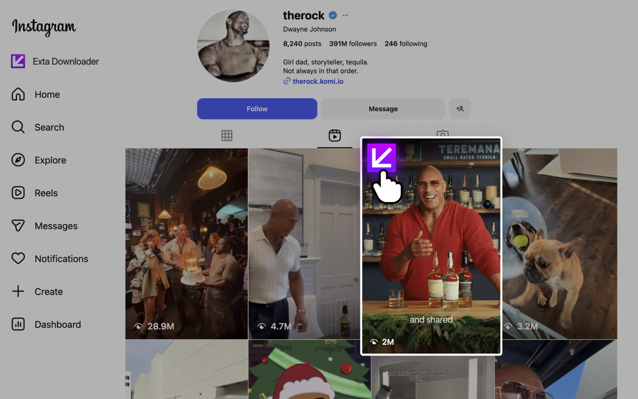 Exta: Pro downloader for Instagram chrome谷歌浏览器插件_扩展第5张截图