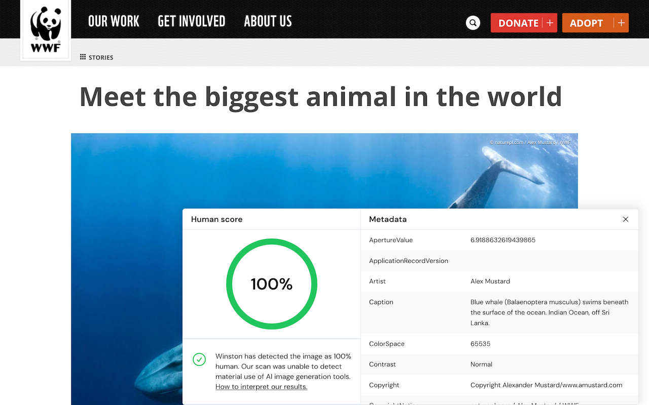 AI Detector for text and images - Winston AI chrome谷歌浏览器插件_扩展第1张截图