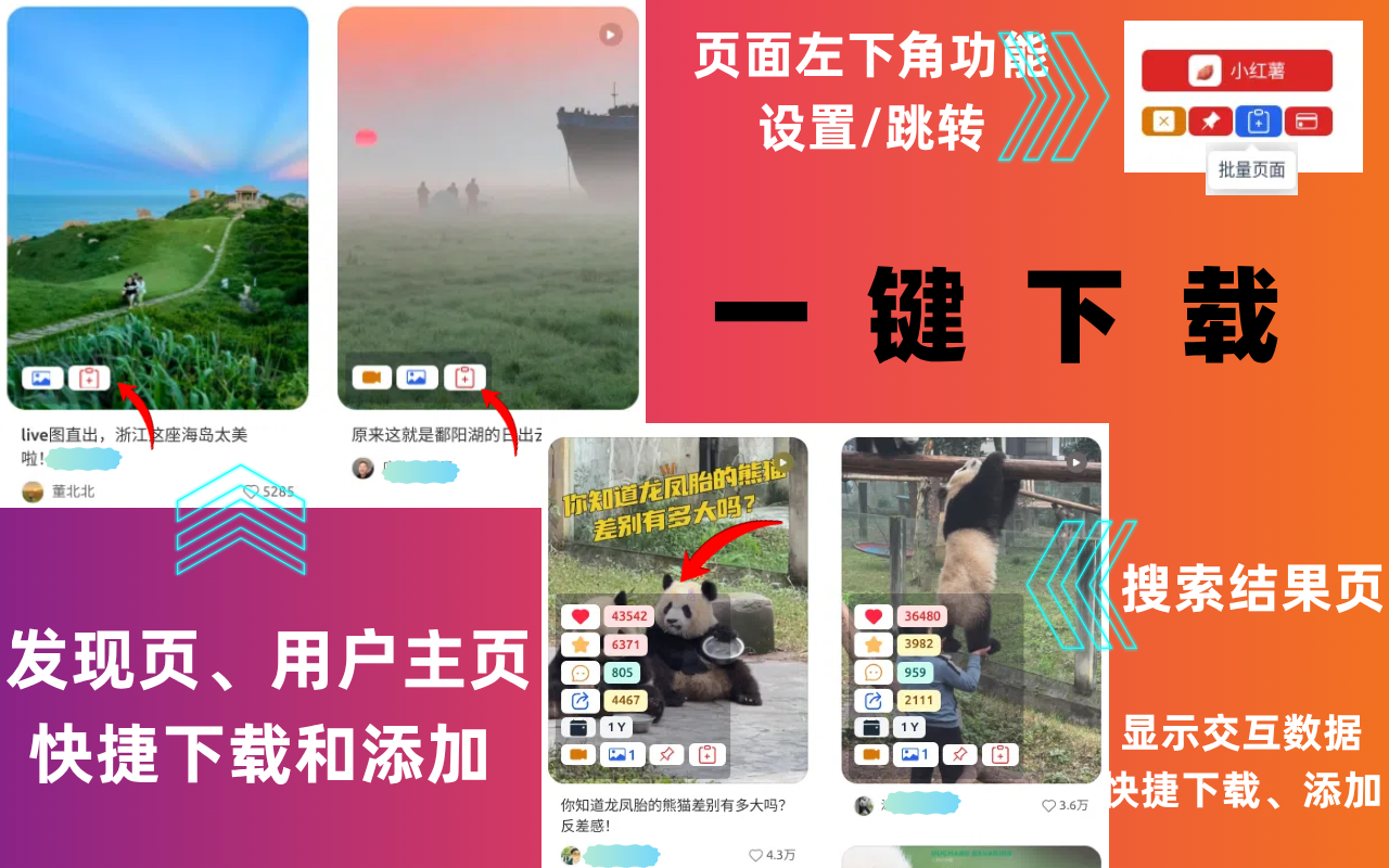 小红薯Pro-下载小红书视频/图片/评论 chrome谷歌浏览器插件_扩展第3张截图