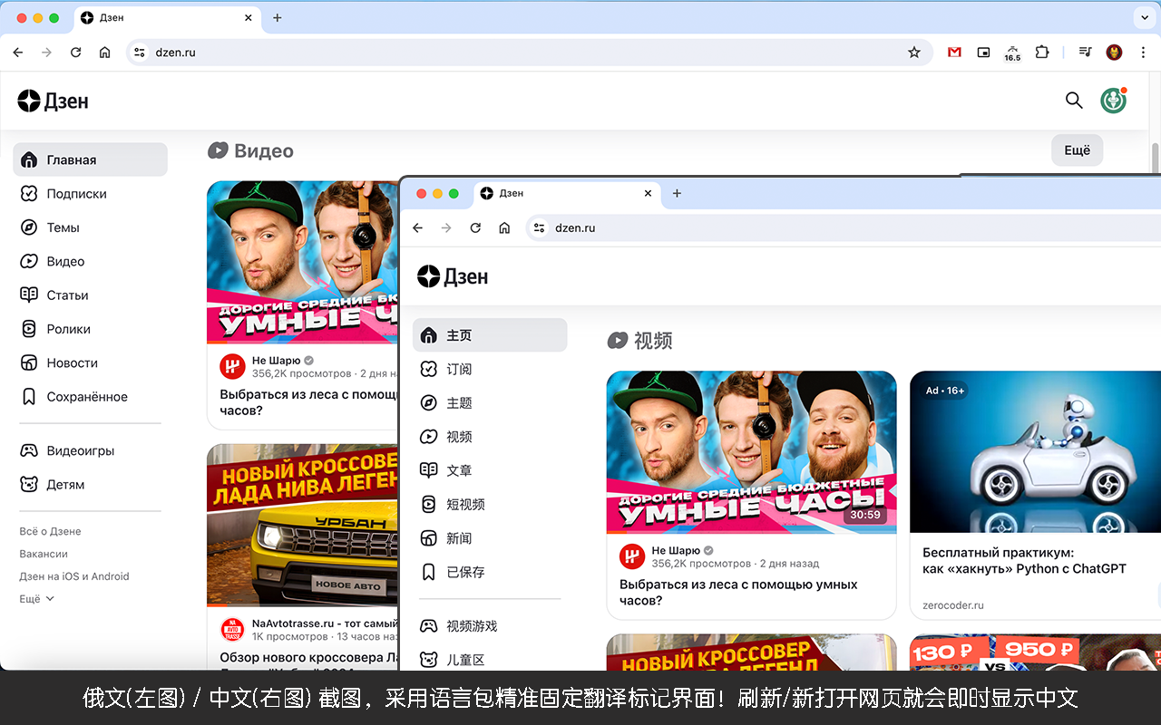 PinLG - 界面翻译 chrome谷歌浏览器插件_扩展第1张截图