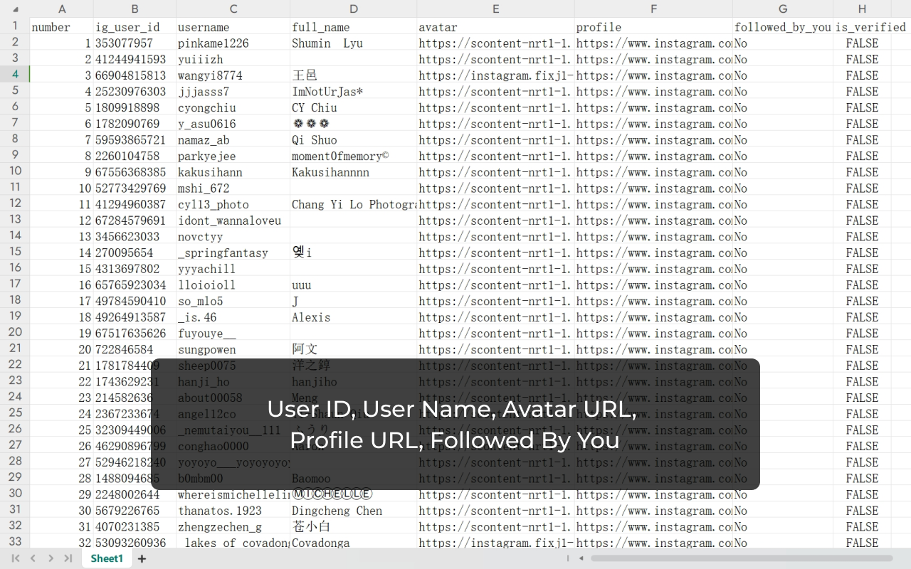 IGFollower - IG粉丝导出工具 chrome谷歌浏览器插件_扩展第1张截图