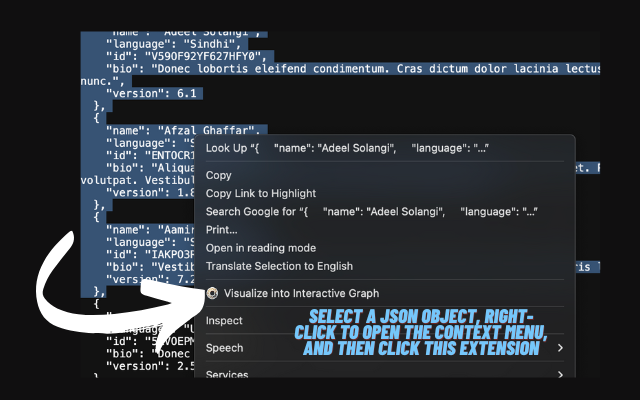 JSON Viewer - Visualize into interactive graphs chrome谷歌浏览器插件_扩展第2张截图