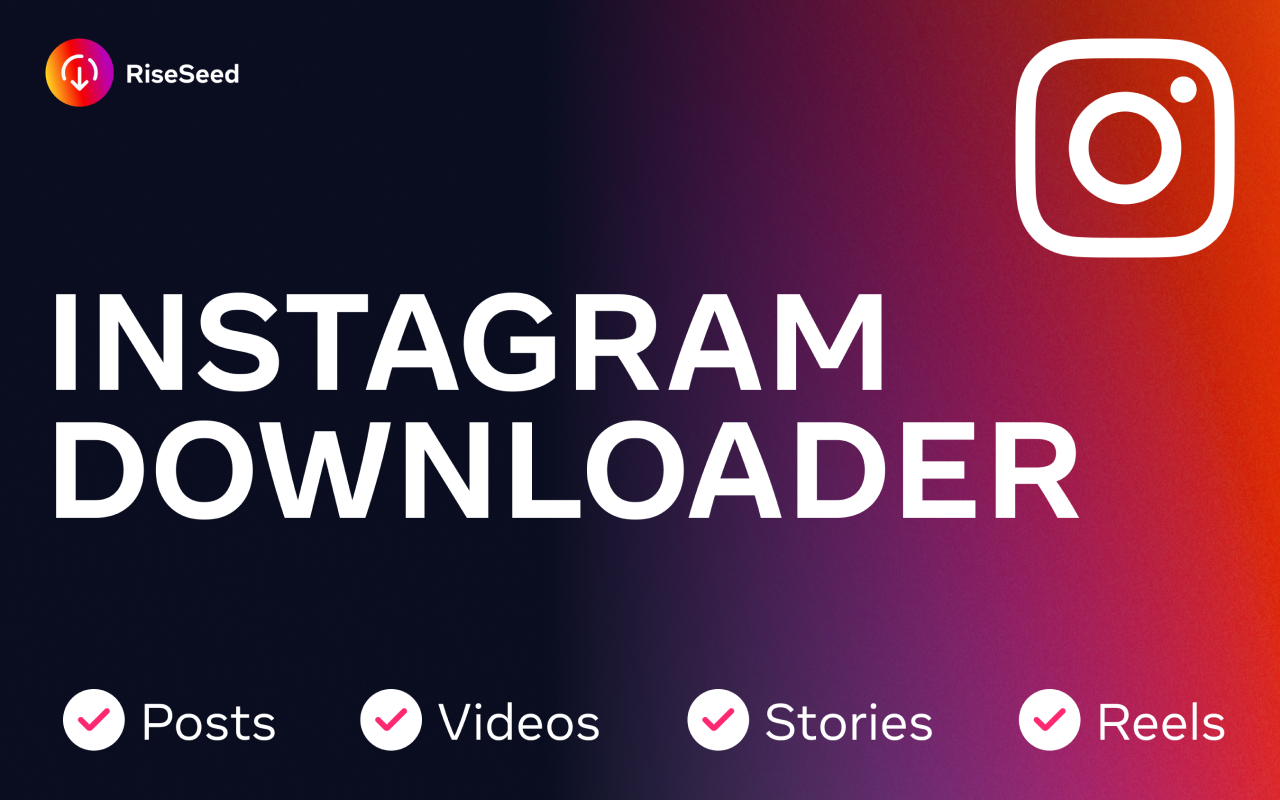 Instagram downloader - RiseSeed chrome谷歌浏览器插件_扩展第2张截图