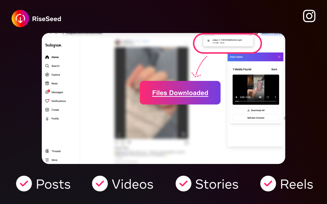 Instagram downloader - RiseSeed chrome谷歌浏览器插件_扩展第5张截图