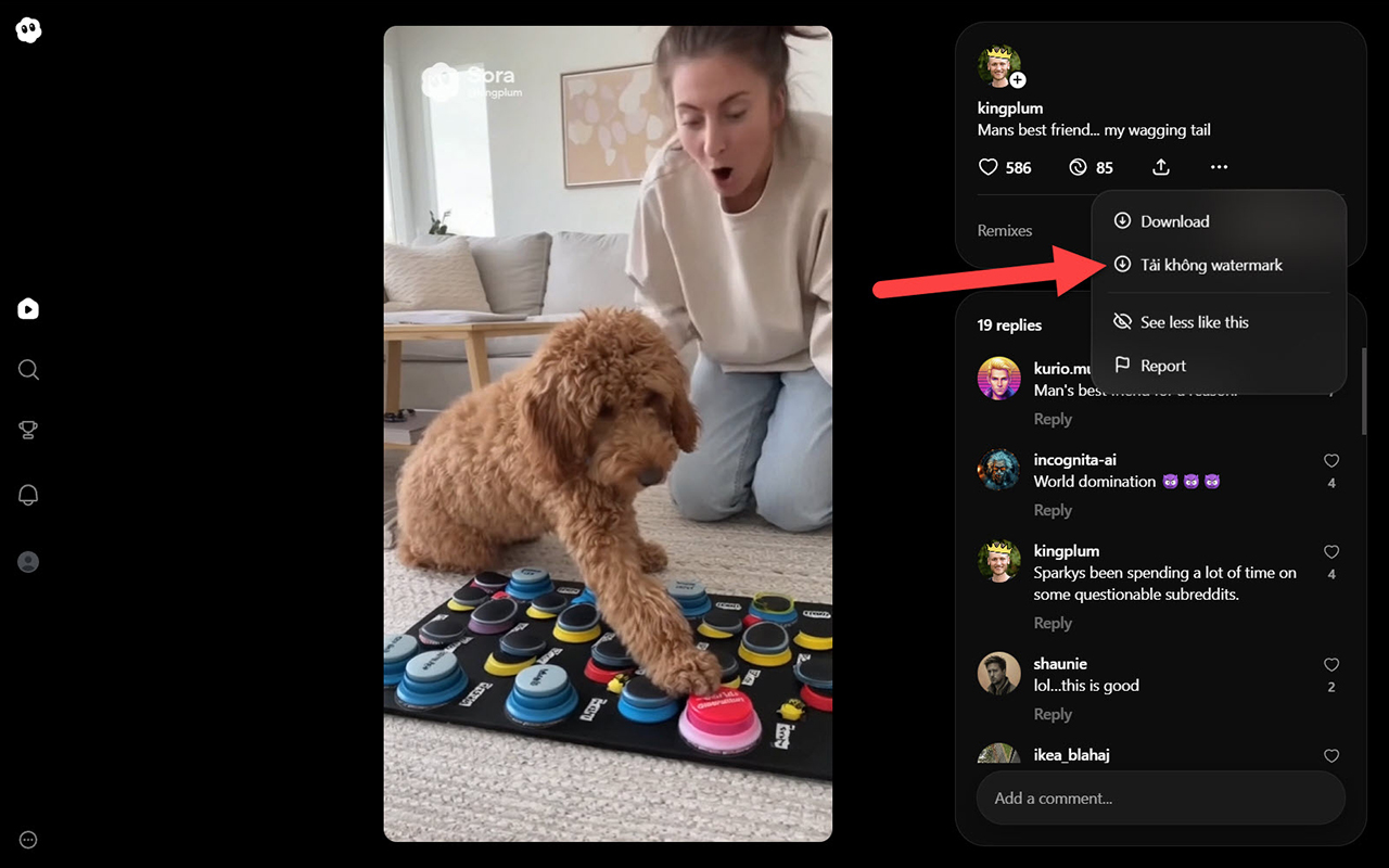Sora 2 视频下载器 - zData.vn chrome谷歌浏览器插件_扩展第1张截图