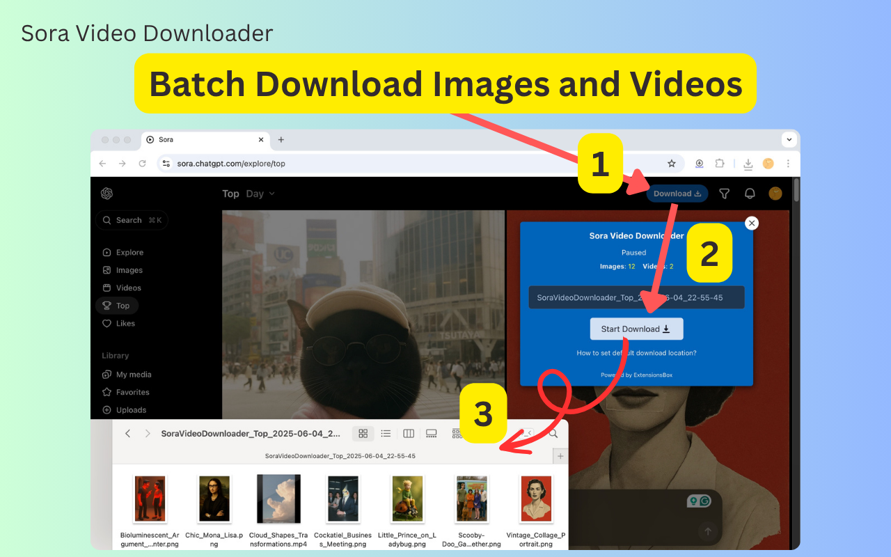 Sora视频下载器 - 下载OpenAI Sora 2视频和图片 chrome谷歌浏览器插件_扩展第1张截图