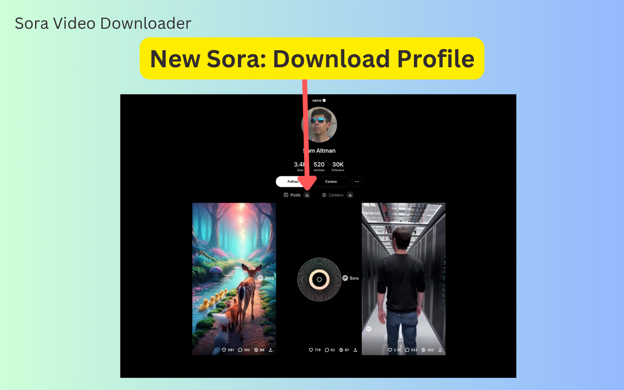 Sora视频下载器 - 下载OpenAI Sora 2视频和图片 chrome谷歌浏览器插件_扩展第3张截图