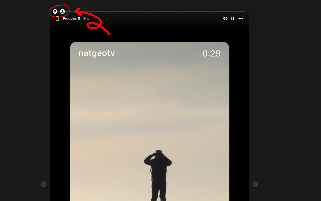 Inflact Downloader for Instagram chrome谷歌浏览器插件_扩展第2张截图