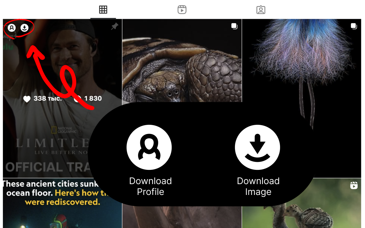 Inflact Downloader for Instagram chrome谷歌浏览器插件_扩展第3张截图