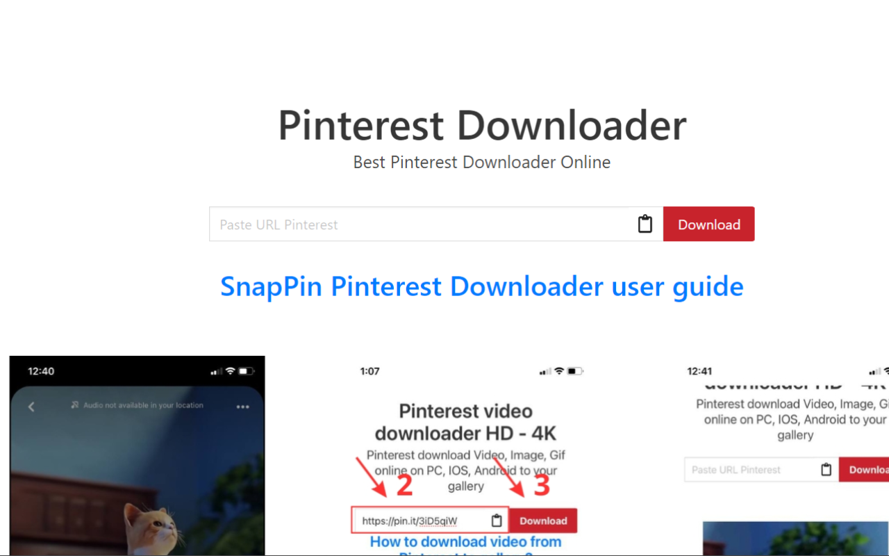 Pinterest Video Downloader chrome谷歌浏览器插件_扩展第1张截图
