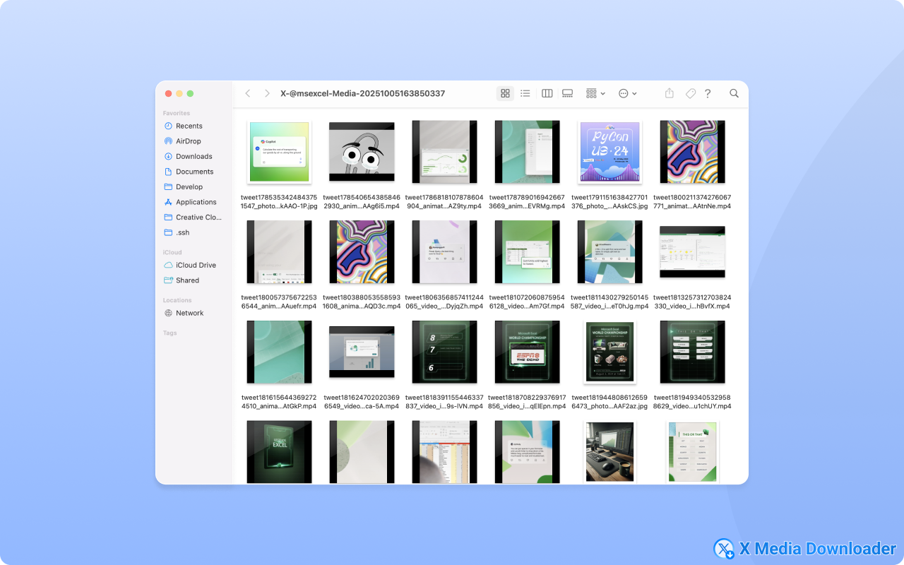 X Media Downloader – 批量下载Twitter/X图片和视频 chrome谷歌浏览器插件_扩展第3张截图