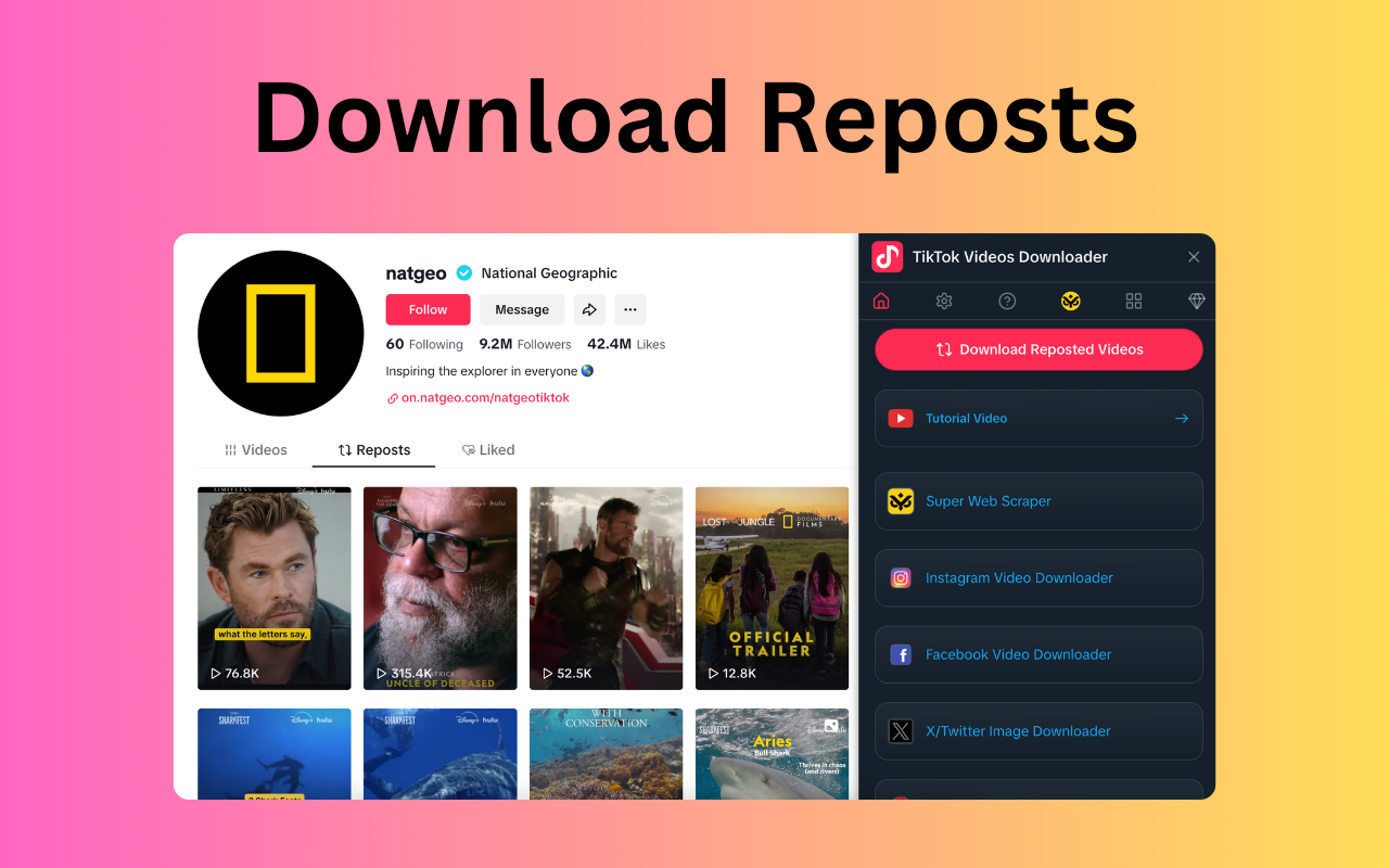 TikTok Videos Downloader chrome谷歌浏览器插件_扩展第1张截图