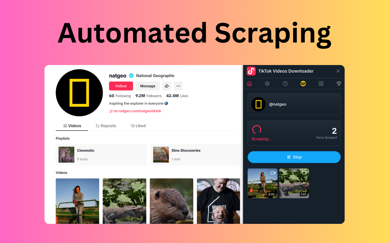 TikTok Videos Downloader chrome谷歌浏览器插件_扩展第4张截图
