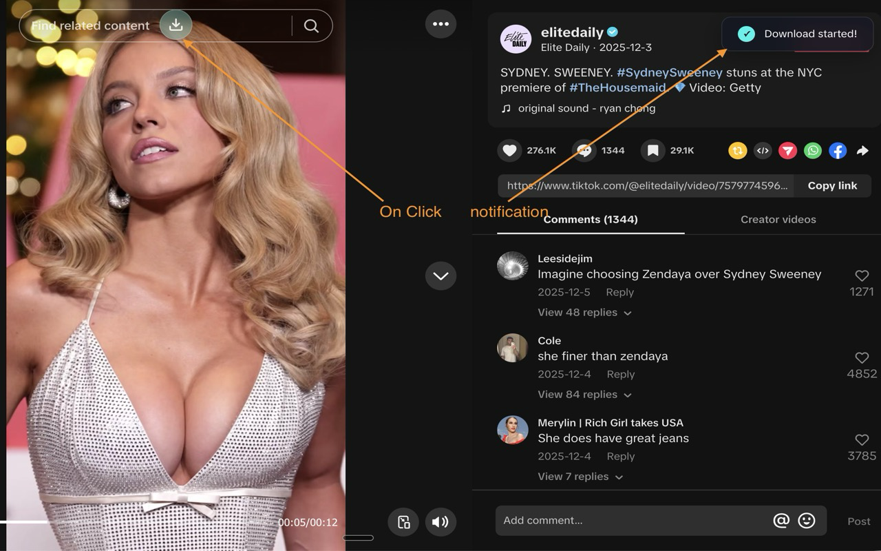 TikTok 视频下载器 – 一键 TikTok 视频保存 chrome谷歌浏览器插件_扩展第2张截图