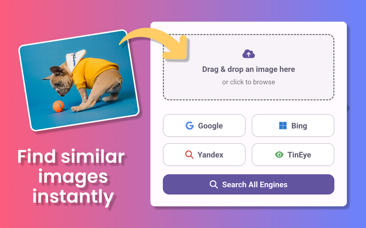 (识图) 搜图 chrome谷歌浏览器插件_扩展第1张截图