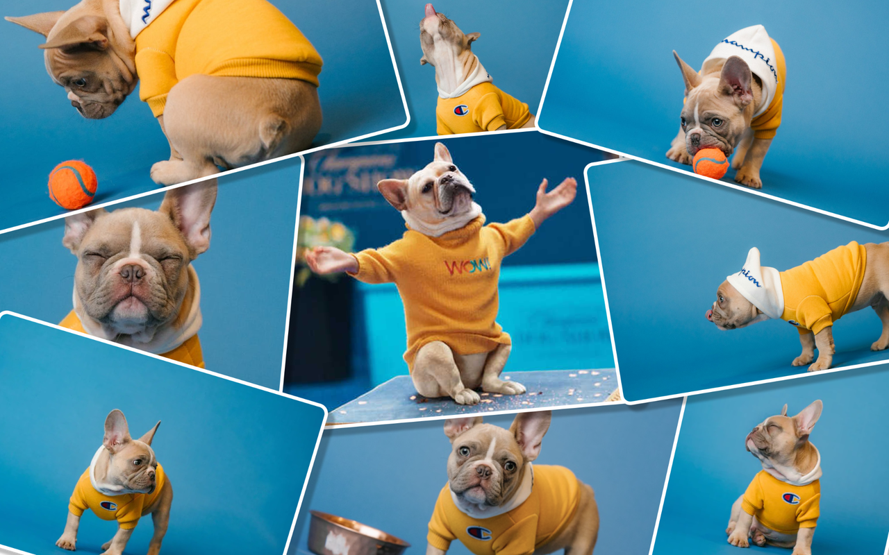 (识图) 搜图 chrome谷歌浏览器插件_扩展第2张截图