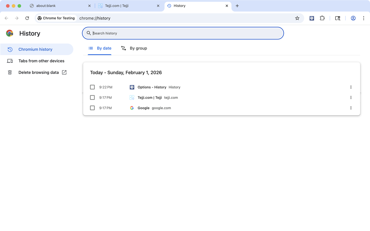 History chrome谷歌浏览器插件_扩展第5张截图