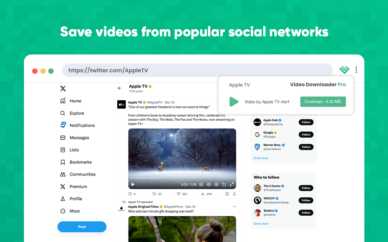 Video Downloader Pro chrome谷歌浏览器插件_扩展第2张截图