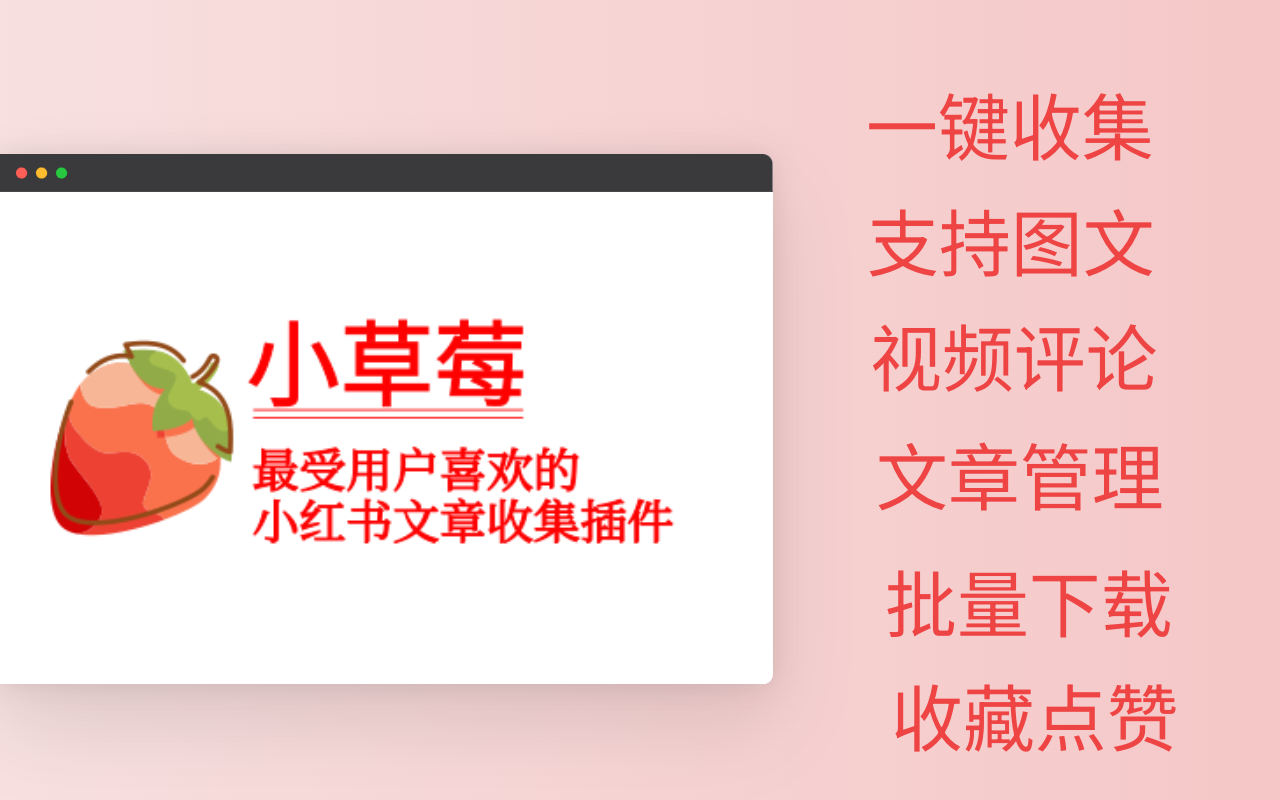 小草莓 - 支持小红书视频批量下载 chrome谷歌浏览器插件_扩展第2张截图