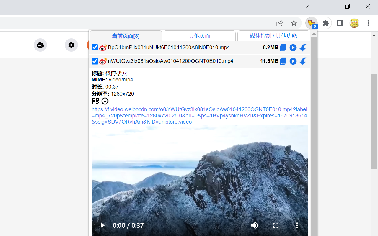 猫抓 chrome谷歌浏览器插件_扩展第1张截图