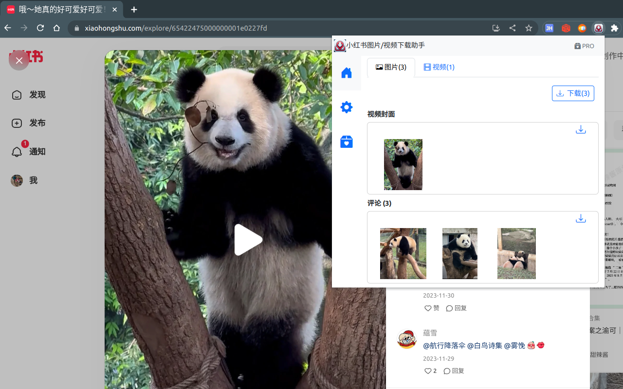 小红薯--小红书图片视频下载/图片文本识别 chrome谷歌浏览器插件_扩展第2张截图