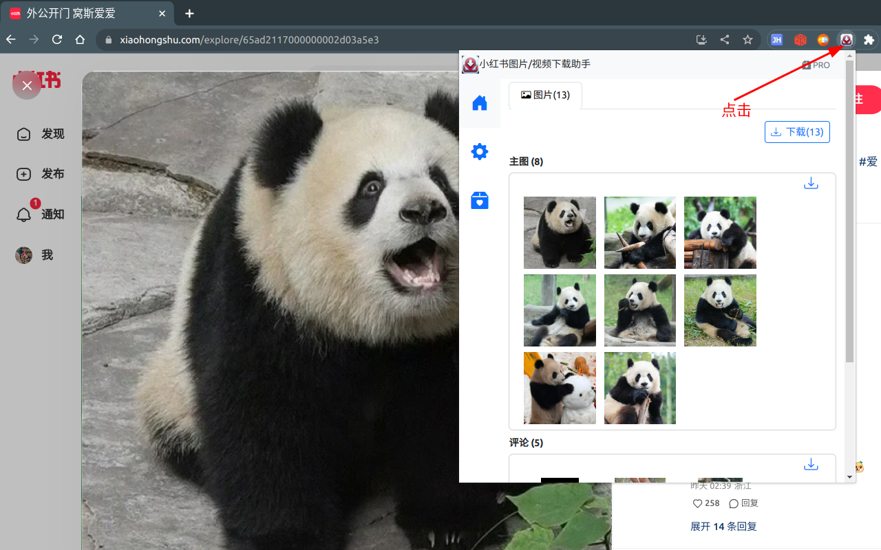 小红薯--小红书图片视频下载/图片文本识别 chrome谷歌浏览器插件_扩展第3张截图
