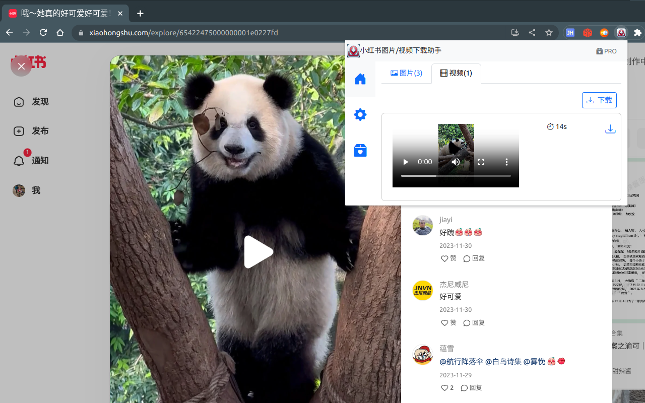 小红薯--小红书图片视频下载/图片文本识别 chrome谷歌浏览器插件_扩展第4张截图