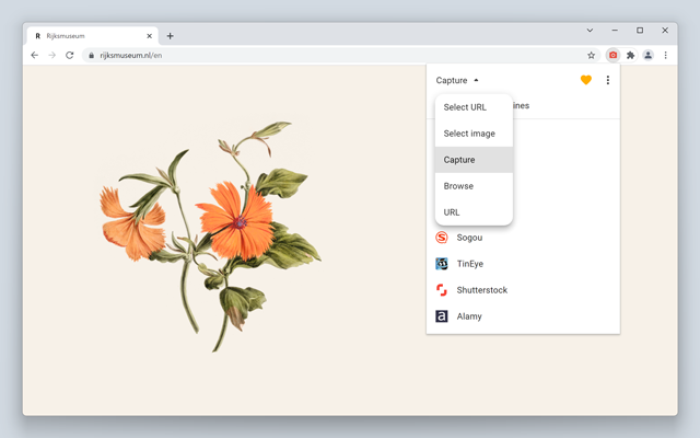 Search by Image chrome谷歌浏览器插件_扩展第1张截图