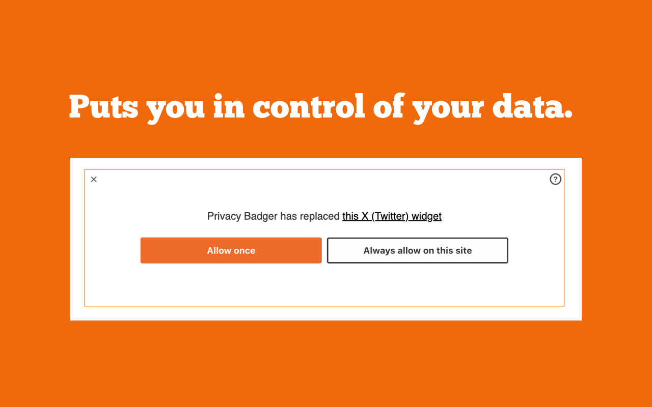 隐私獾 chrome谷歌浏览器插件_扩展第2张截图