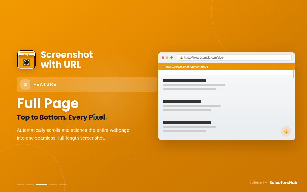 Screenshot with URL & Hidden Bookmark - 截图 2
