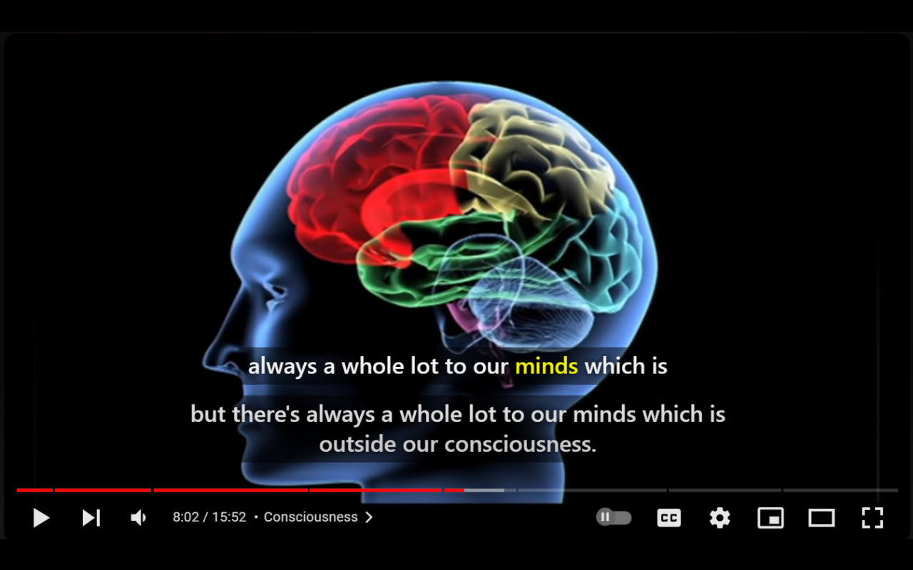 Youtube 双语字幕 chrome谷歌浏览器插件_扩展第1张截图