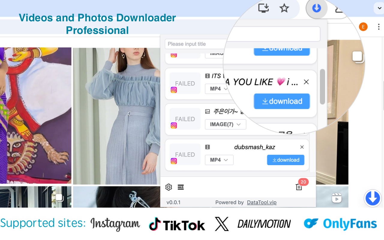 智Tool-支持从TikTok、instagram、twitter等平台下载视频 chrome谷歌浏览器插件_扩展第2张截图