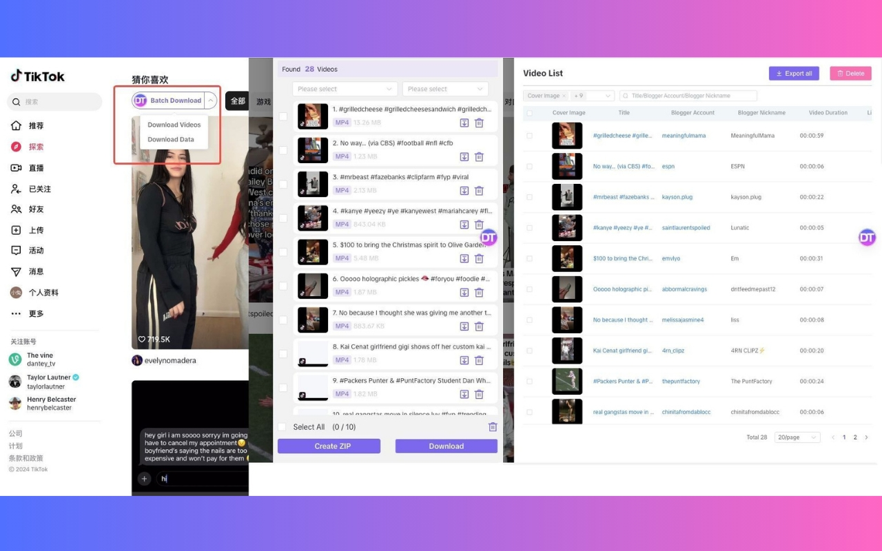 智Tool-支持从TikTok、instagram、twitter等平台下载视频 chrome谷歌浏览器插件_扩展第4张截图