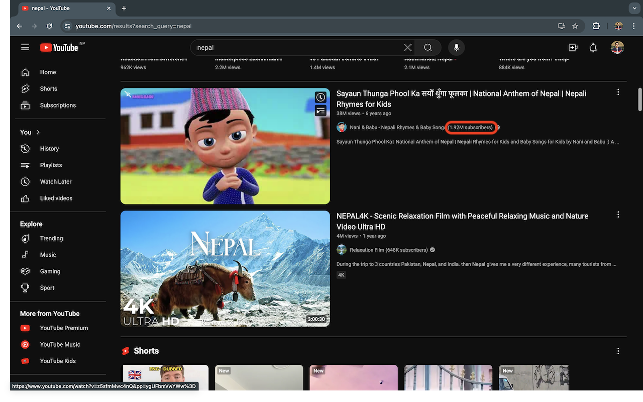 YouTube Subscribers Count chrome谷歌浏览器插件_扩展第4张截图