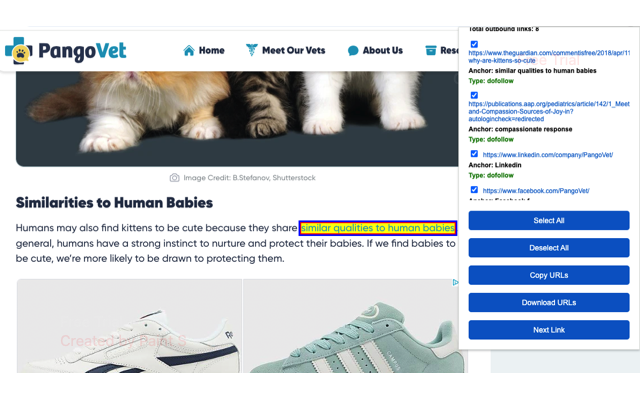 Outbound Link Checker chrome谷歌浏览器插件_扩展第1张截图