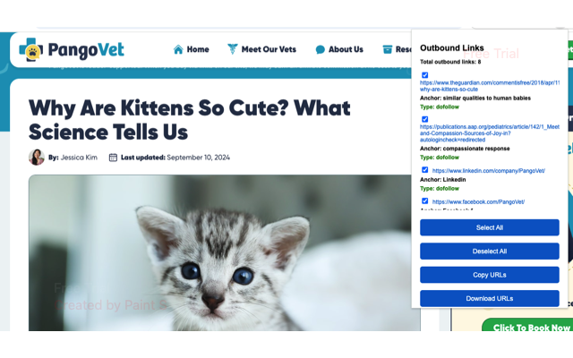 Outbound Link Checker chrome谷歌浏览器插件_扩展第2张截图