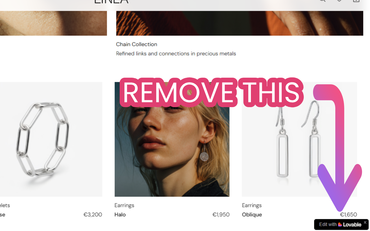 Lovable Project Downloader chrome谷歌浏览器插件_扩展第2张截图
