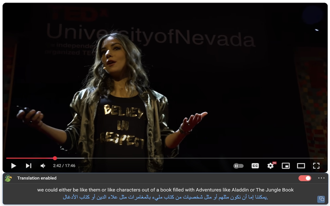 TransParrot: YouTube翻译和双语字幕 chrome谷歌浏览器插件_扩展第3张截图